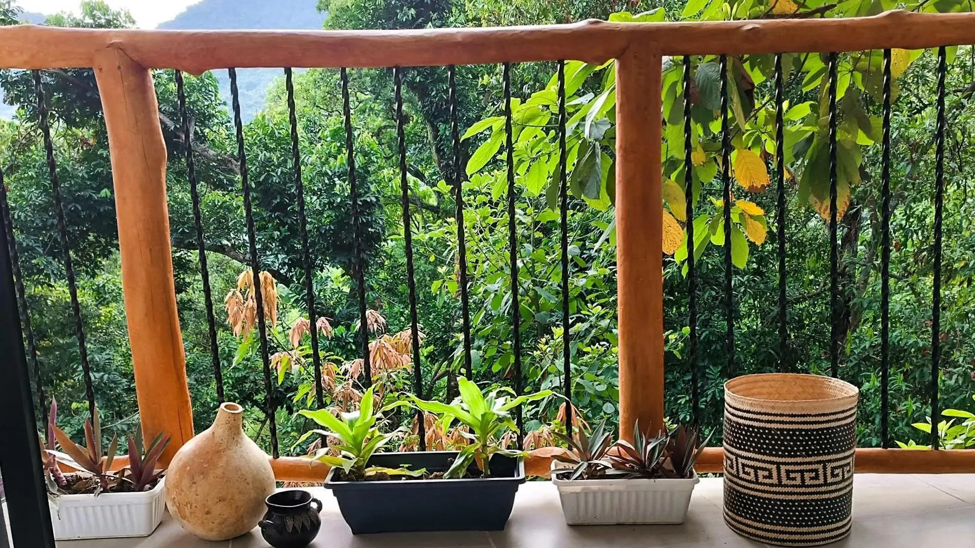 Eden Los Abuelos 1, Casa Privada En Minca Nature
